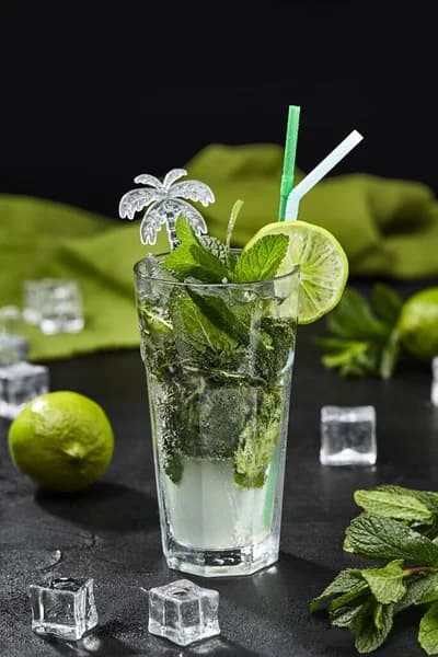 Virgin Mojito